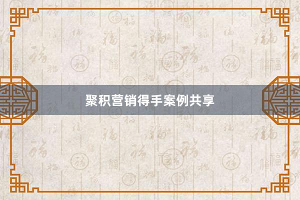 聚积营销得手案例共享