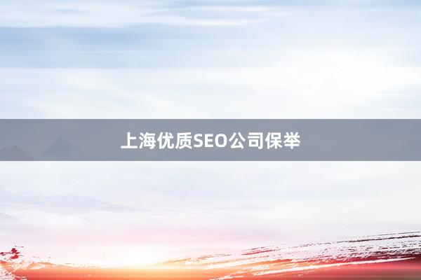 上海优质SEO公司保举