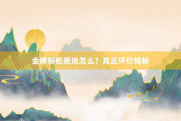 金牌橱柜质地怎么？真正评价揭秘