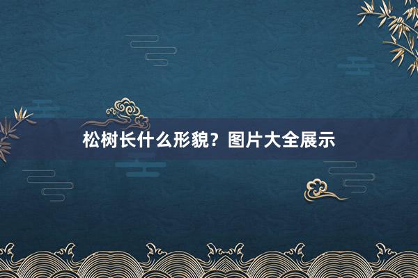松树长什么形貌？图片大全展示